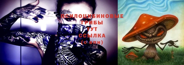 jwh Белокуриха