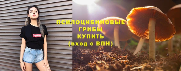 jwh Белокуриха