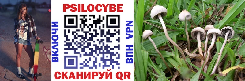 купить наркотики цена  Макаров  Псилоцибиновые грибы MAGIC MUSHROOMS 